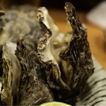 かねます - 15/11月 蒸し牡蠣