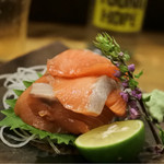 かねます - 15/11月 今年も会えた鮭児