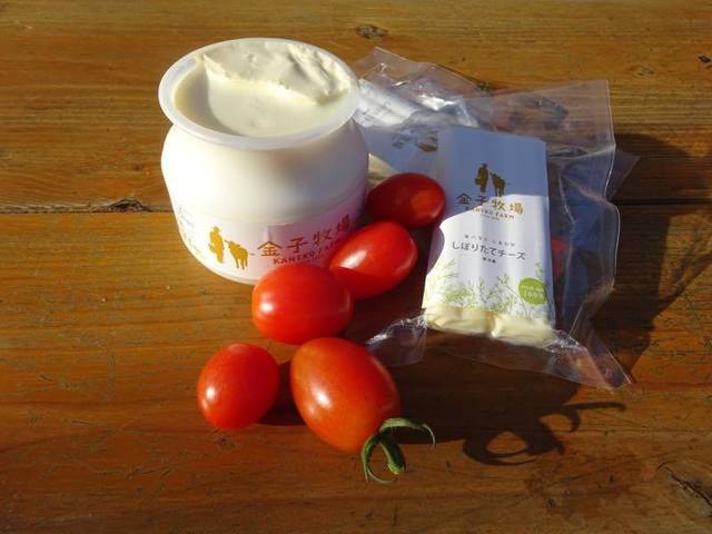 金子牧場 - 養鱒公園（ジェラート・アイスクリーム）の写真