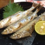 いり新 - ◆北海道産　本ししゃも焼き＠７８０円（３匹）