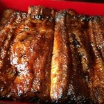 うなぎのまつ嘉 - テリテリテリーハンセン