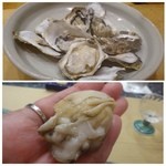 初音鮨 - 厚岸の牡蠣・・小ぶりですが甘みがあります。