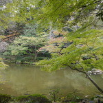 Natori Tei - 成田山公園