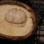 水魚之喜 - 原木椎茸