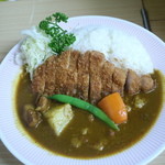 リッチなカレーの店 アサノ - かつカレー全景」