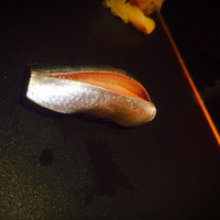 神戸・鮨かねさか - 