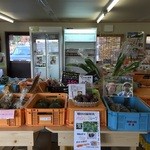 アグリ大河 - 新鮮お野菜盛り沢山です。