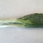 アグリ大河 - ねぎ、100円です。