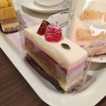 ロートンヌ - シルキー　495