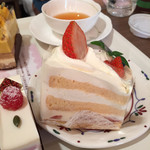 ロートンヌ - シャンテフレーズ　484