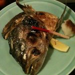 山葵 - かぶと焼き