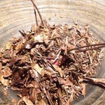 フロリレージュ - 2015_10月 投影　さつま芋