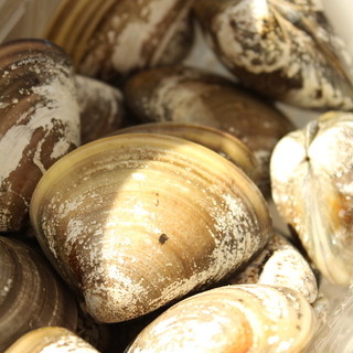 伸栄丸 佐々木_2