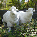 キャトルラパン - 