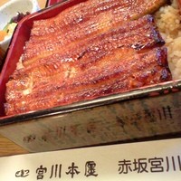 宮川本廛 赤坂宮川 - 重の『は』だったか