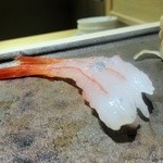 銀座 柳寿司 三代目 - 甘えび