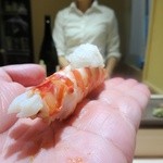 銀座 柳寿司 三代目 - 海老