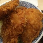 とんかつ 扇亭 - タレカツ丼(福)の大盛アップ2【料理】 