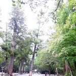 レストランRyu - 大樹の杜