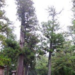 レストランRyu - 大樹の杜