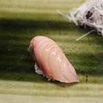 Ginza Sushi Kanesaka - 