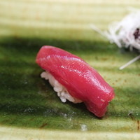銀座 鮨 かねさか 本店 - まぐろ