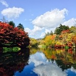 軽井沢ガーデンファームいちご園 - 軽井沢観光と合わせて、いちご狩りをお楽しみください