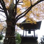 玉屋旅館 - 鐘との構図がなかなか