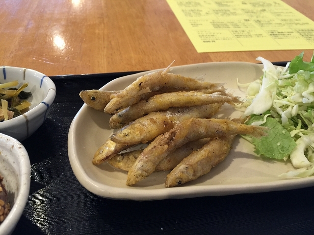 Tetorin House photo 2