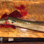 うを徳 - 脊髄断っているのにまだ動いてる生命力！