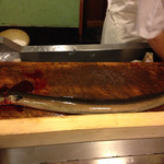 うを徳 - 10月宍道湖産1.0kg天然鰻