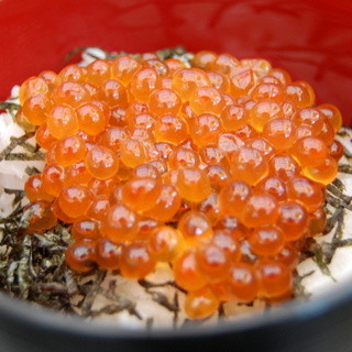 牡蠣ののぶりん_1