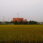 ラパン・アジル - 田んぼの真ん中に建っていましたｗ