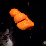 乙女寿司 - 雲丹