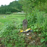 清澄の里 粟 - 粟