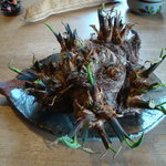 清澄の里 粟 - 粟