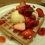 マザーリーフ・テラス - 