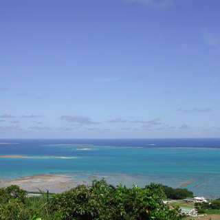 カフェくるくま_1