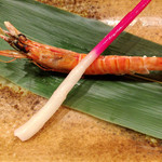 桂新堂本店 お食事処 百福庵 - 車海老、大きさ一番の才巻き