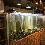 施家菜・きじはた(関西ではアコウという超高級魚)、ワタリガニ、シャコ、海老・・・垂涎の活魚が