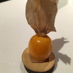 ブレストンコート ユカワタン - ユカワタン