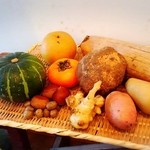 食の円居 なず菜 - 本日いただける野菜たち