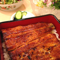 満寿家 - 鰻重（上）