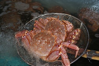 銀座 蟹みつ - 生け簀の活毛蟹