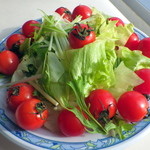 さんふらわあ レストラン - 新鮮サラダ大盛です