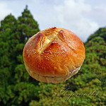 やきたてパン工房 ミノル - 栗のパン