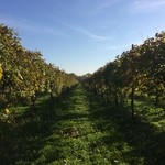 CASA ANGELO di CORBANESE ANTONELLO - 