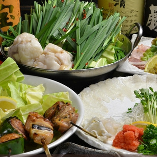 カープ鳥きのした_1