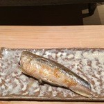 すし匠 齋藤 - ししゃも