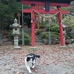 しんたく - 新倉山の主